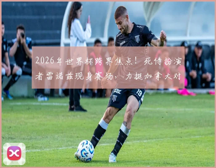 2026年世界杯跨界焦点！死侍扮演者雷诺兹现身赛场，力挺加拿大对阵波黑，揭秘明星球迷观战趣闻