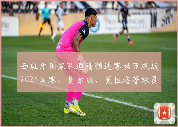 西班牙国家队邀请预选赛功臣观战2026决赛，费尔明、莫拉塔等球员在列，现场见证荣耀时刻